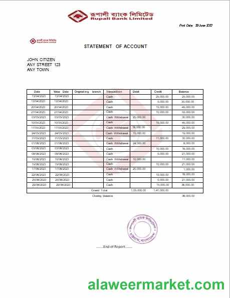 India Rupali Limited fake bank statement Word and PDF template